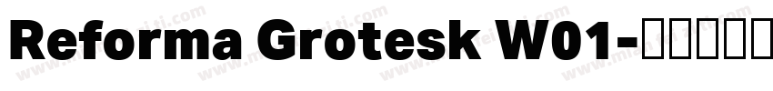 Reforma Grotesk W01字体转换